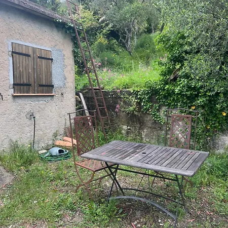 La Petite D *